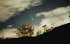 Comet Hyakutake